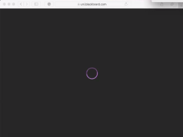 image of Safari 13 browser window with a purple spinning circle in the center and black background