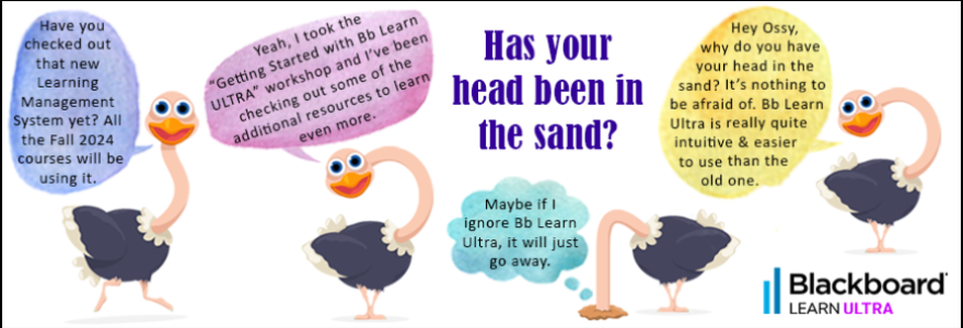 Ostrich 1: Have you checked out that new Learning Management System yet? All the Fall 2024 courses will be using it. Ostrich 2: Yeah, I took the "Getting Started with Blackboard Learn ULTRA" workshop and I've been checkingout some of the additional resources to learn even more. Ostrich 3: Maybe if I ignore Bb Learn Ultra, it will just go away. Ostrich 4: Hey Ossy, why do you have your head in the sand? It's nothing to be afraid of. Bb Learn Ultra is really quite intuitive & easier to use than the old one. 